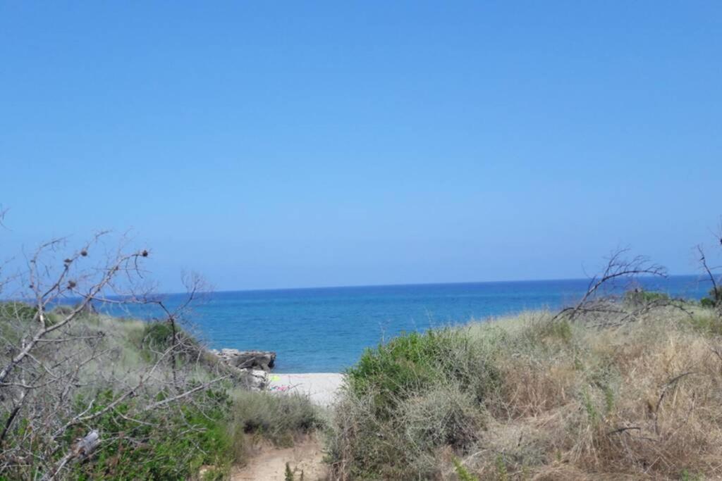 Appartement Les Pieds Dans L'Eau 300 M Plage - 2 Piscines Linguizzetta Екстериор снимка